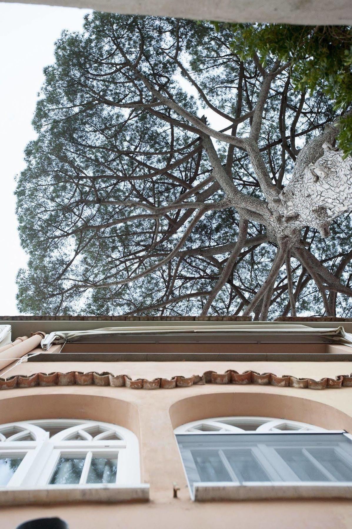 La Casa Di Carla Apartment Ravello Exterior photo